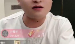 二子爷爆料小胖视频播放,二子爷揭露小胖视频播放背后真相