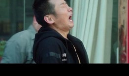 站住小偷在线观看,网络直播抓捕行动幕后揭秘