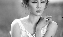 绯闻女星爆料视频大全下载,揭秘娱乐圈不为人知的秘密瞬间