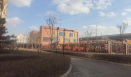 开源嘉苑爆料事件最新进展,最新进展揭秘，真相逐步浮出水面